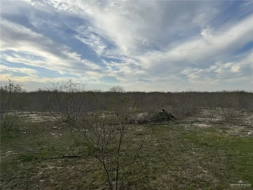 000 Fm 490, Hargill, TX 78549 - Image #1