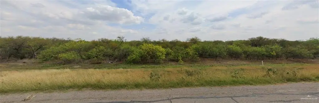 21703 Los Venados Drive, Edinburg, TX 78542 - Image #1