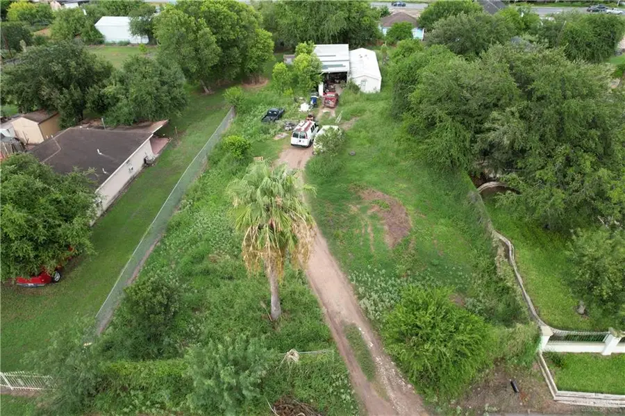 4612 Celia, Donna, TX 78537 - Image #3