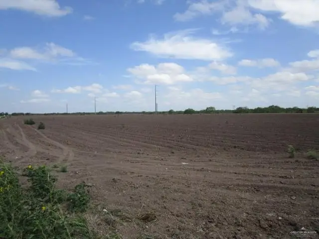 30 Acres Fm 732, San Benito, TX 78586 - Image #3