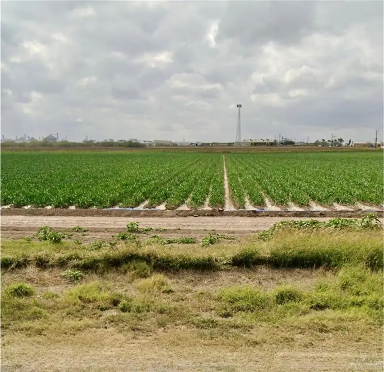 TBD S Military Road Se, Progreso, TX 78579 - Image #2