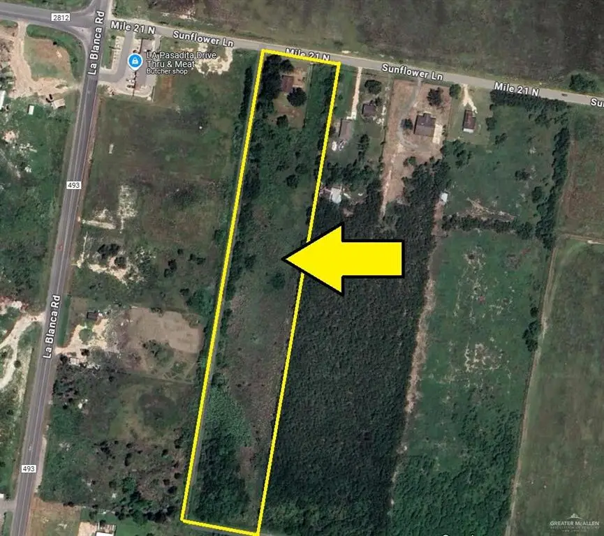 TBD Fm 493 Road, Edcouch, TX 78538 - Image #1