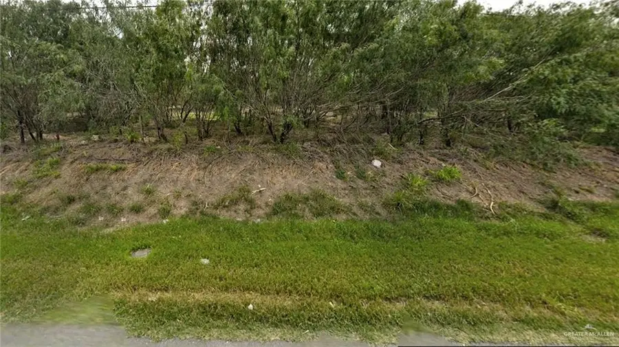 0000 N Bentsen Palm Drive, Mission, TX 78574 - Image #2