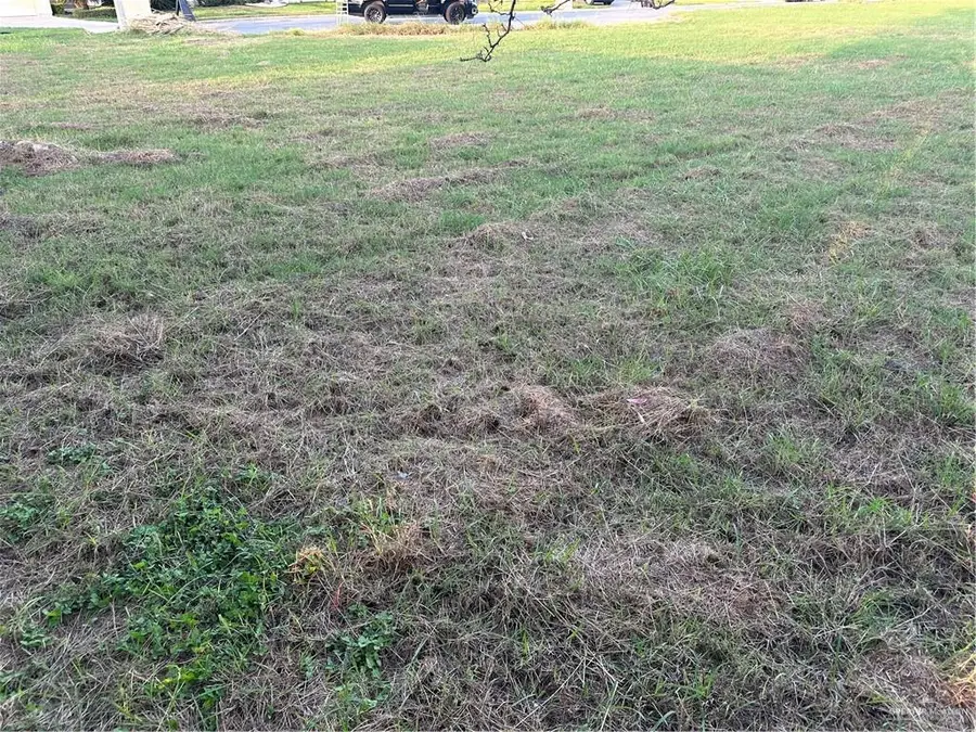 4709 Savannah Avenue, McAllen, TX 78503 - Image #3