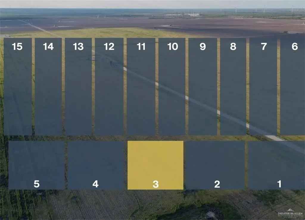 Lot 3 Jara Chinas Road, Edinburg, TX 78541 - #1