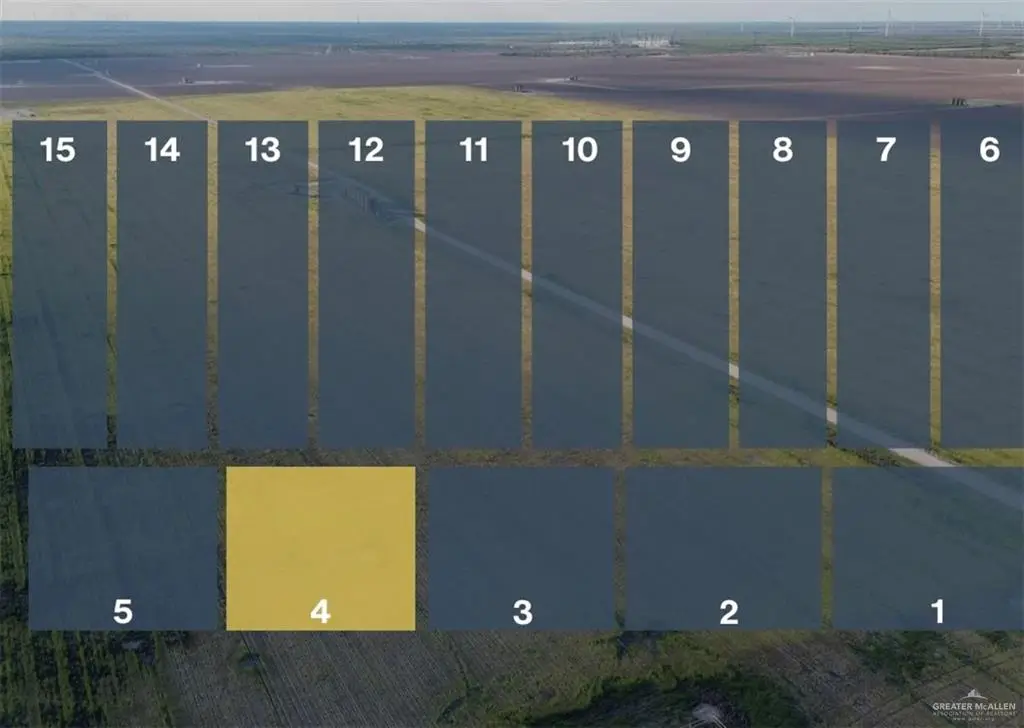 Lot 4 Jara Chinas Road, Edinburg, TX 78541 - #1