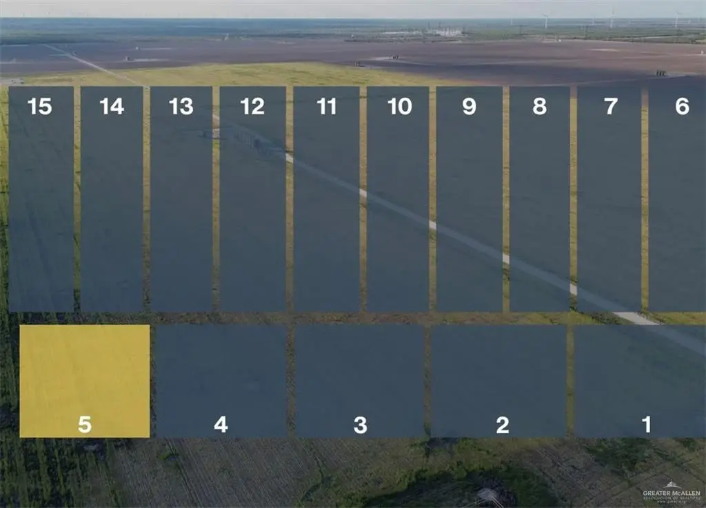 Lot 5 Jara Chinas Road, Edinburg, TX 78541 - #1