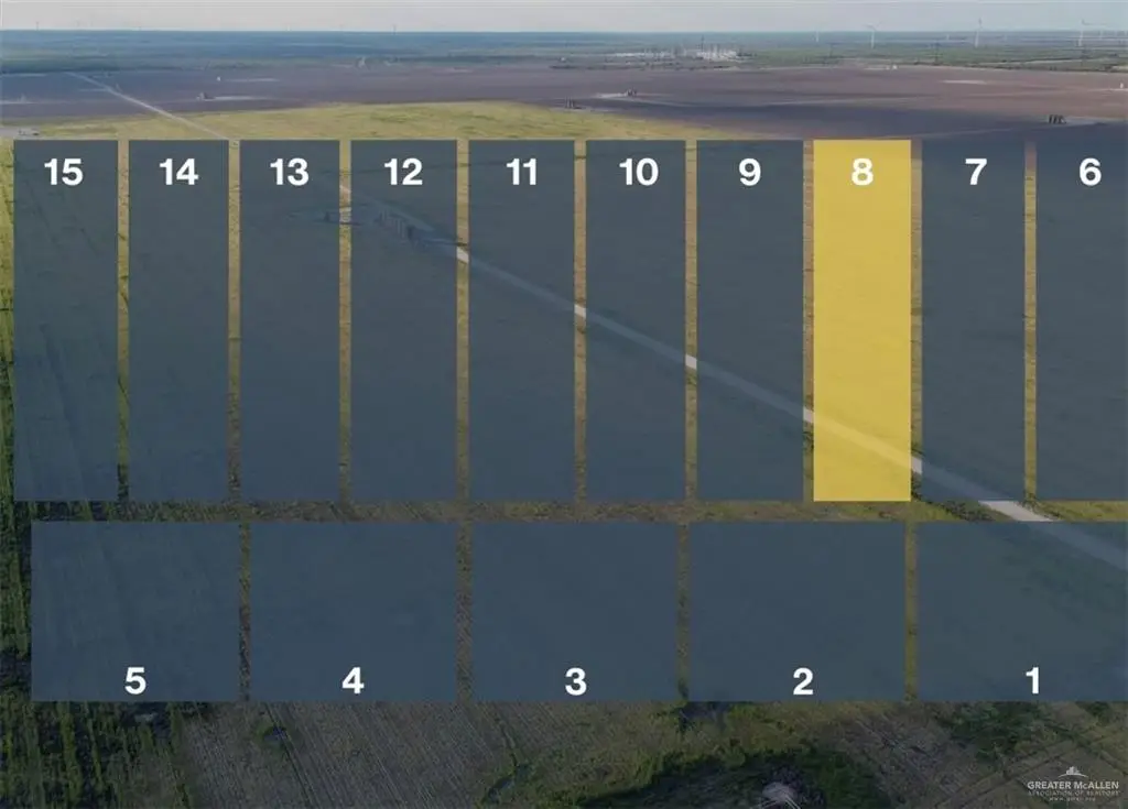 Lot 8 Jara Chinas Road, Edinburg, TX 78541 - #1