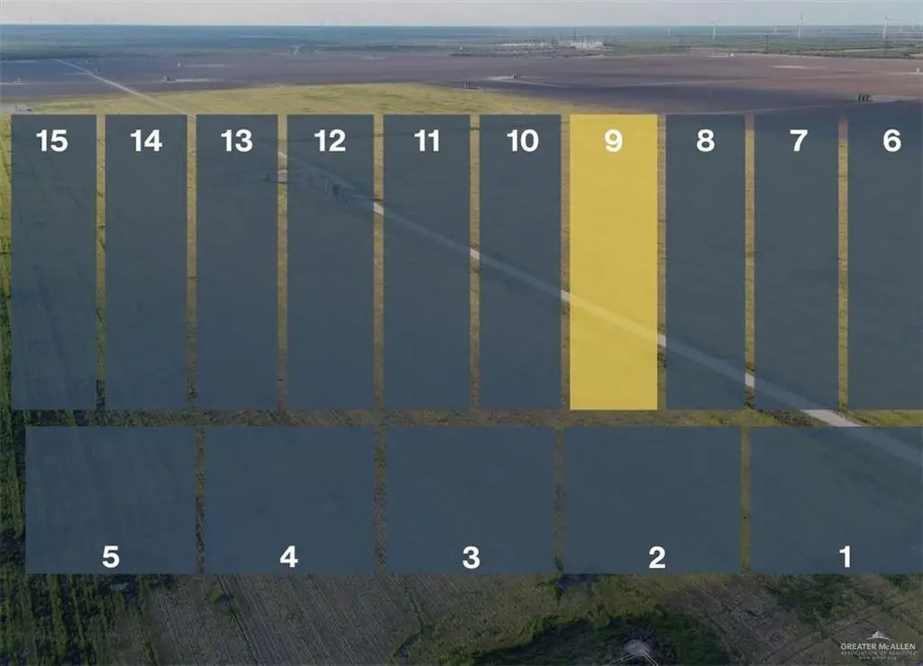 Lot 9 Jara Chinas Road, Edinburg, TX 78541 - #1