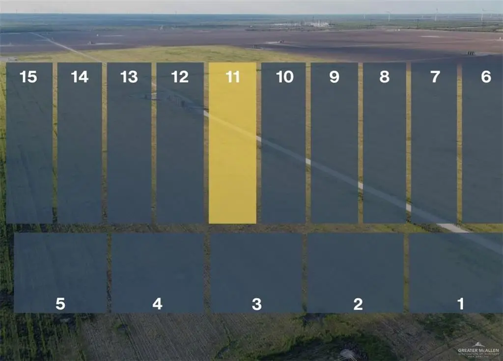 Lot 11 Jara Chinas Road, Edinburg, TX 78541 - #1