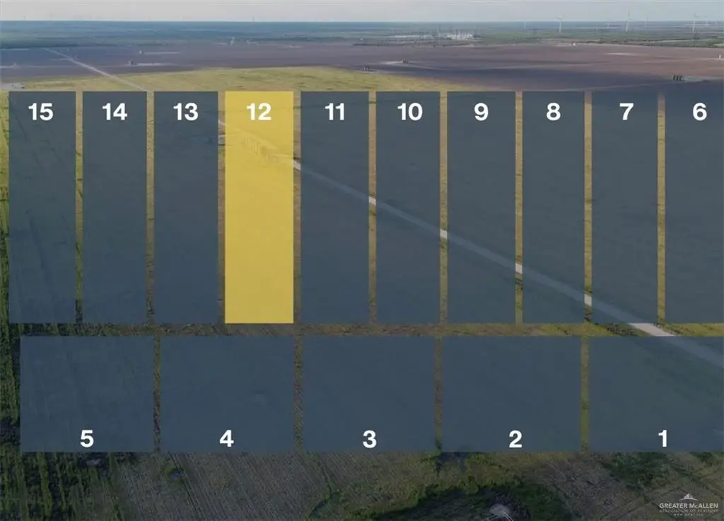 Lot 12 Jara Chinas Road, Edinburg, TX 78541 - #1