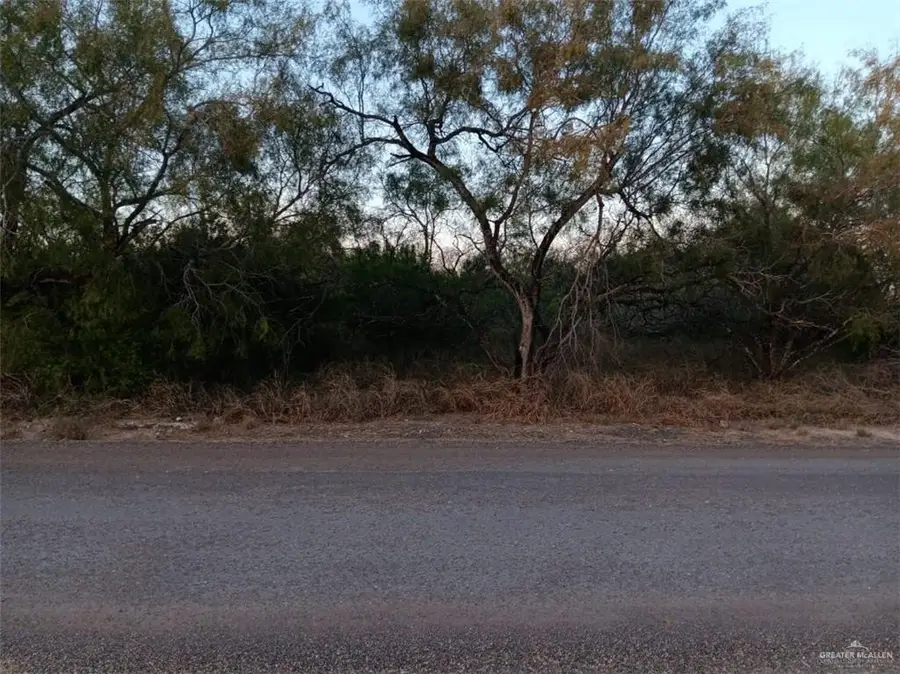 13702 Moises Flores Road, Edcouch, TX 78538 - Image #3