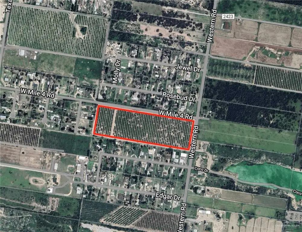 0001 Western Road, Mission, TX 78572 - #1