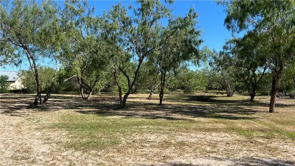 215 E Dawson Drive, Edinburg, TX 78539