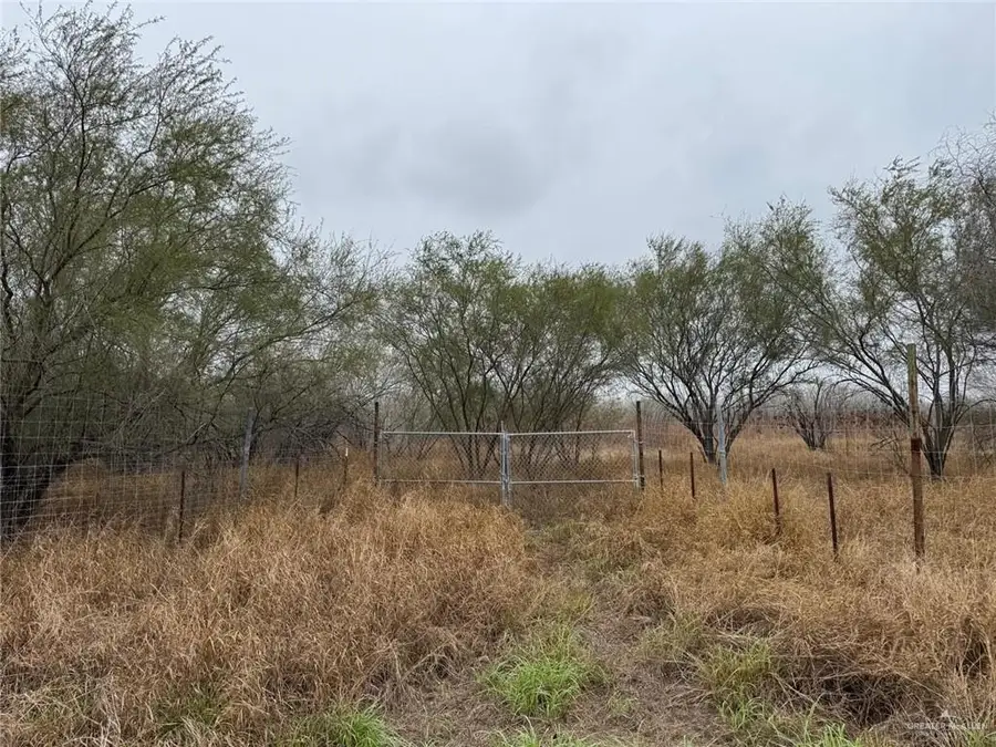 00 Las Brisas Road, Rio Grande City, TX 78582 - #2