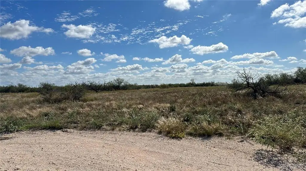 Lot #11  2007 Fm 755, Encino, TX 78353 - Image #1