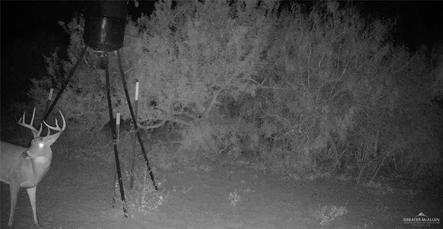 0 Cr 309 Road, Encino, TX 78353 - Image #3