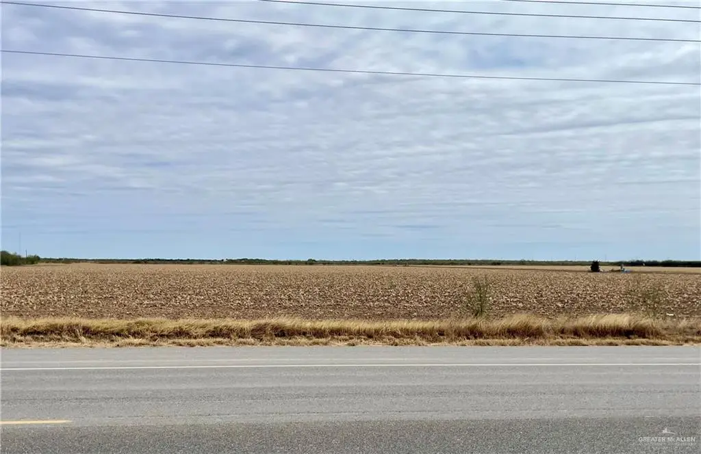 3665 S Fm 493 Street, Donna, TX 78537 - Image #1