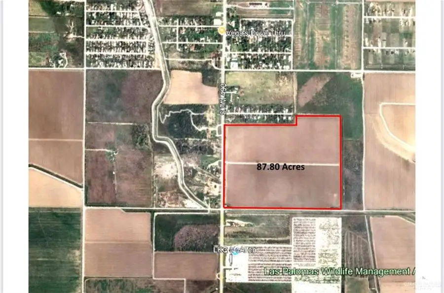 3665 S Fm 493 Street, Donna, TX 78537 - Image #3