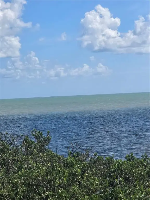 102 Oleander Drive, Laguna Vista, TX 78578 - Image #1