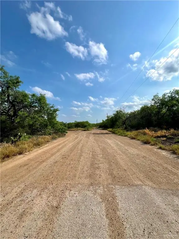 7739 Chihuahua Road, Mission, TX 78572 - Image #2