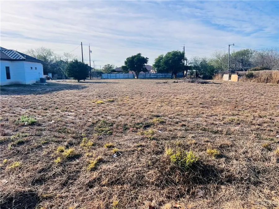 1728 Rodriguez Street, Penitas, TX 78576 - Image #3