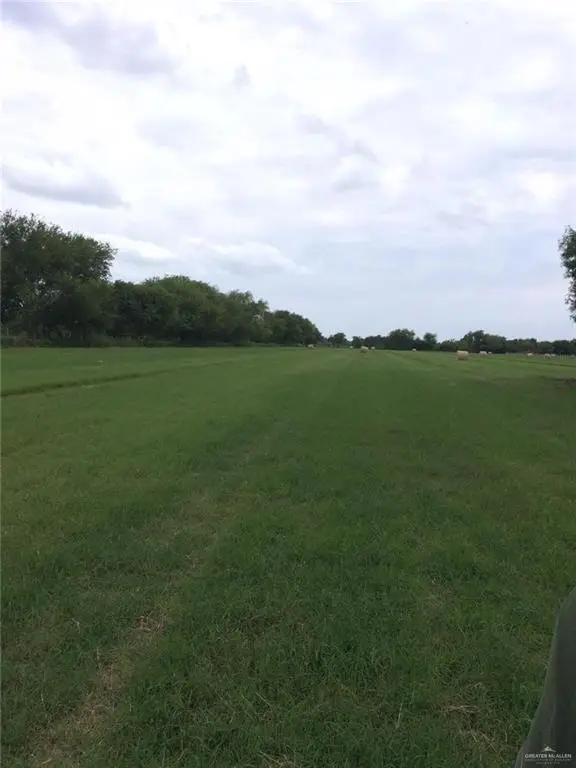 4200 Texas Road E, Edinburg, TX 78542