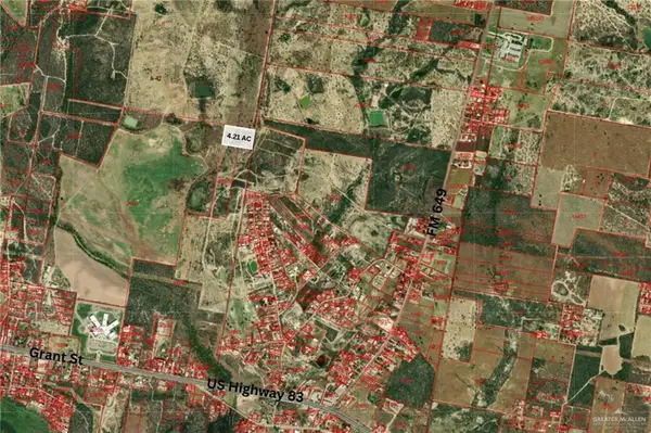 00 Out Of Area, Roma, TX 78584