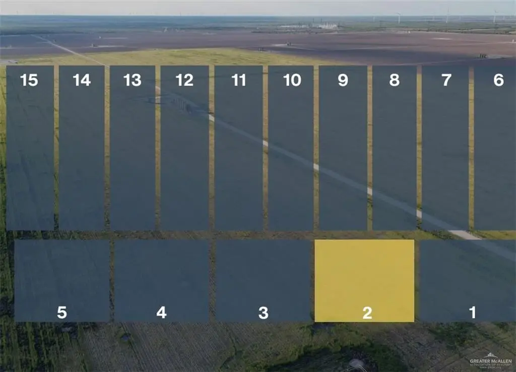 Lot 2 Jara Chinas Road, Edinburg, TX 78541 - #1