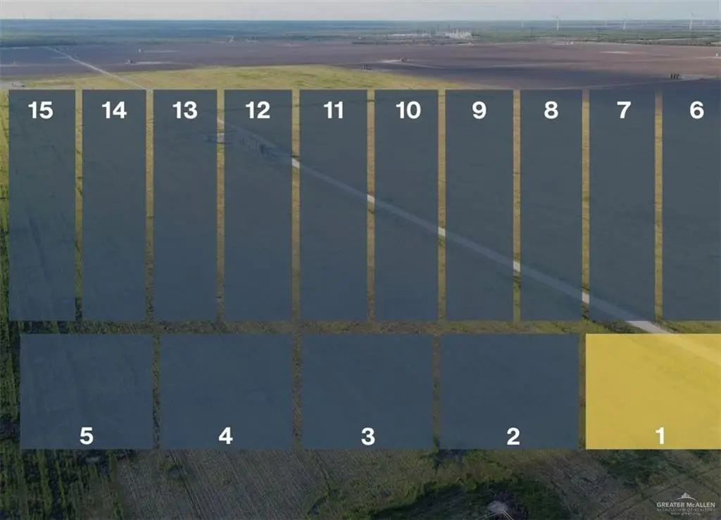 Lot 1 Jara Chinas Road, Edinburg, TX 78541 - #1