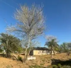 0000 W Cantu Road, Santa Rosa, TX 78593 - Image #1