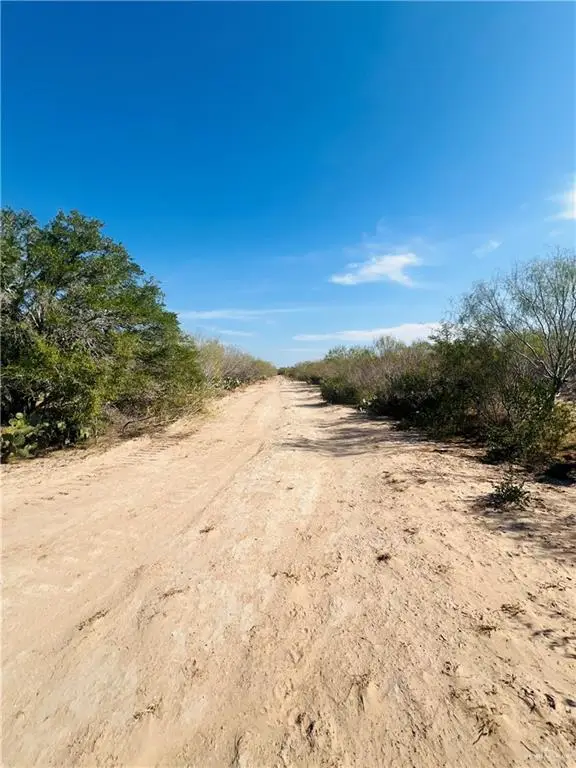 1603 Fm 649, Guerra, TX 78360 - #2