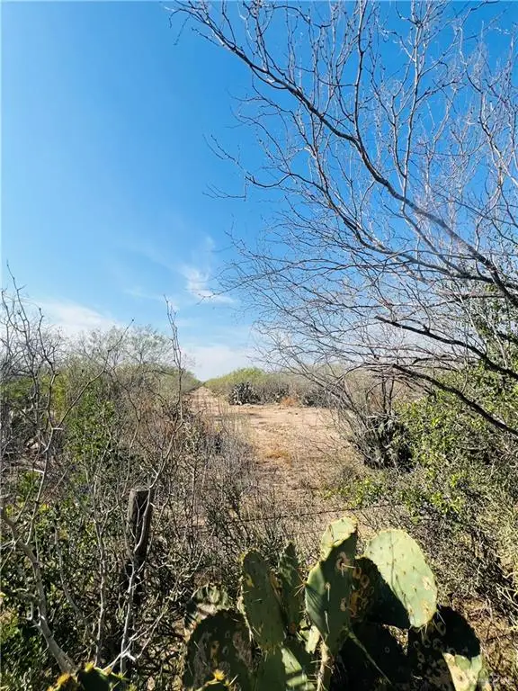 1603 Fm 649, Guerra, TX 78360 - #3