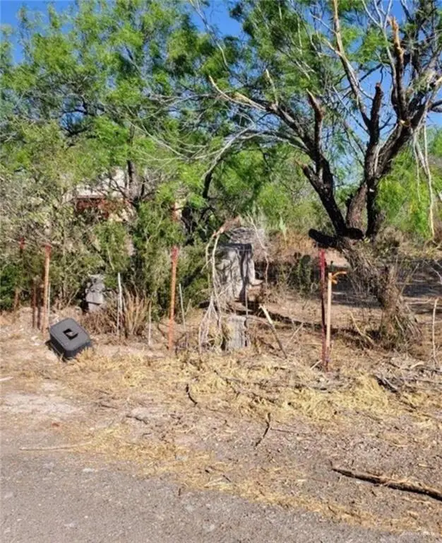 2 N Ebony Avenue, Roma, TX 78584 - Image #1