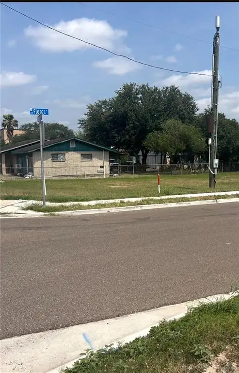 801 Monte Cristo Road, Edinburg, TX 78542 - #2