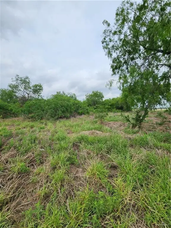 n/a Ranchito Street, Edinburg, TX 78542 - #1