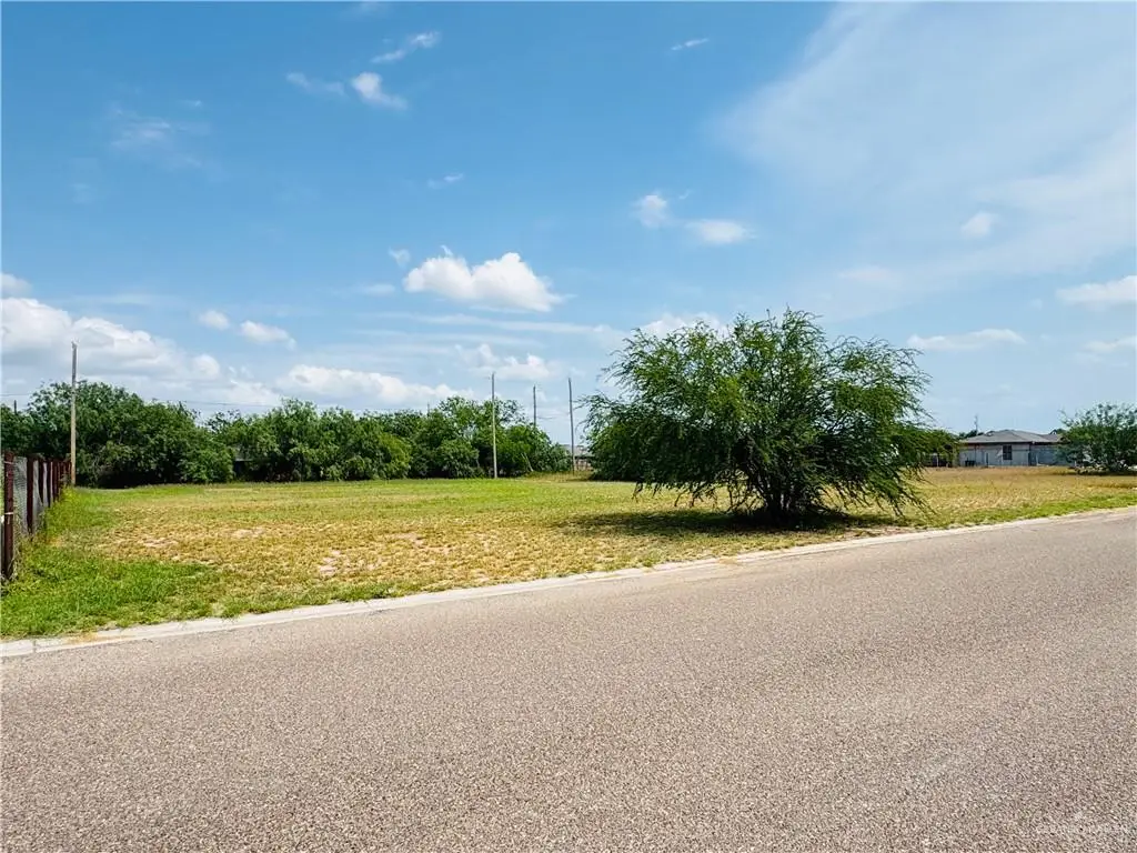 418 Hawk Street, Sullivan City, TX 78595 - Image #1