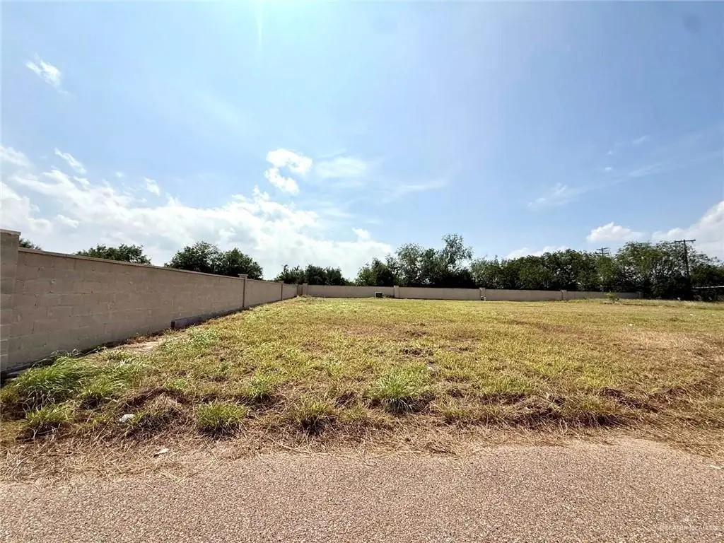0000 Falcon Street, Rio Grande City, TX 78582 - Image #1