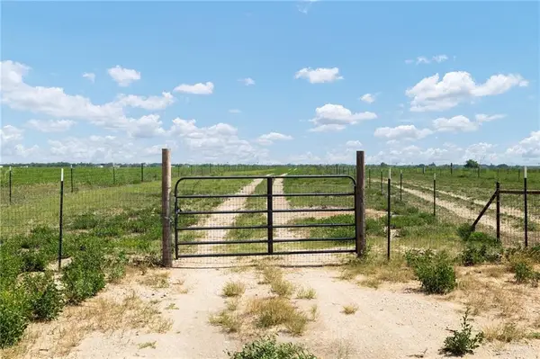 17449 La Coma Service Road, Edinburg, TX 78541