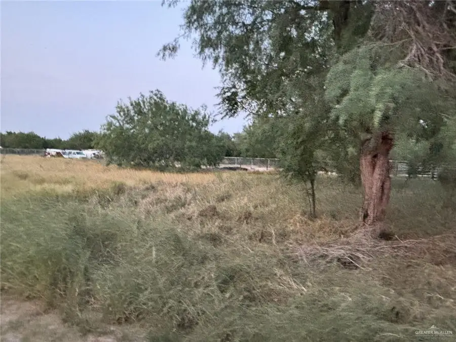 2009 W Owassa Road, Edinburg, TX 78539 - Image #2