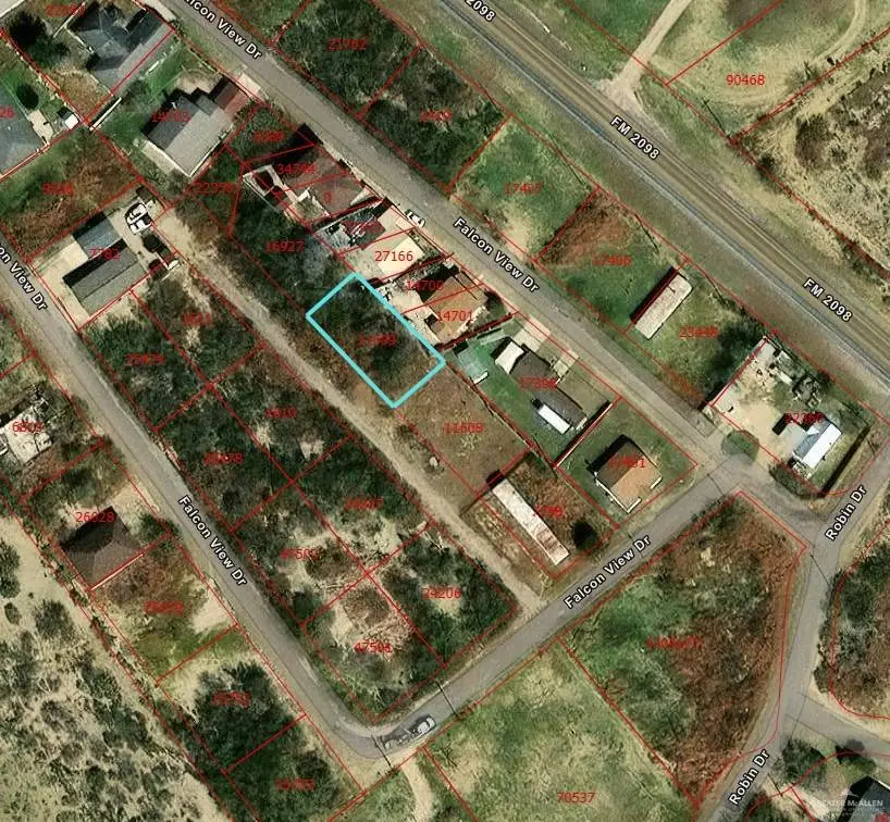 Lot 44 Skylark Lane, Falcon Heights, TX 78545 - Image #1