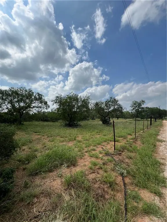 00 Riojas Road, San Isidro, TX 78588 - Image #1