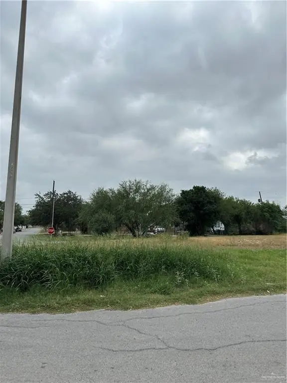 401 Conchita Drive, Hidalgo, TX 78557 - Image #1