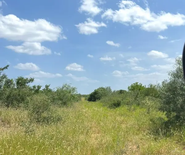 231 Alaniz Ranch Road, Santa Elena, TX 78591