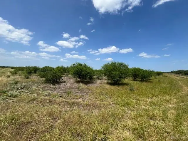 231 Alaniz Ranch Road, Santa Elena, TX 78591 - Image #2