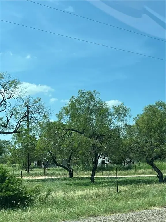 9363 Fm 755 Street, Santa Elena, TX 78591 - Image #2