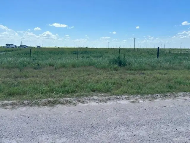 22879 N Wallace Road, Edinburg, TX 78541 - #2