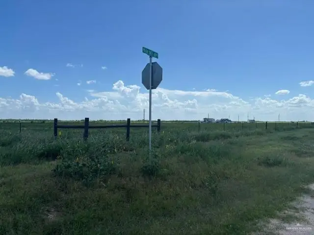 22879 N Wallace Road, Edinburg, TX 78541 - #3