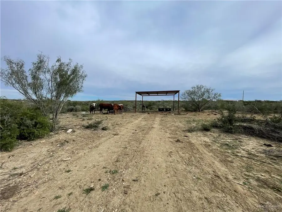 19 Vista Falcon Pvt Road, Falcon Heights, TX 78545 - Image #3