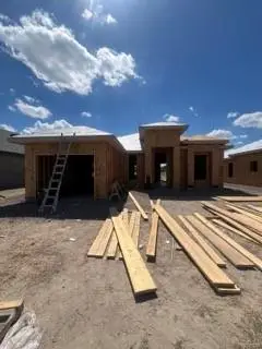 417 Serg Loop, Alamo, TX 78516 - Image #1